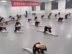 -西安小天鹅艺术团(金花路校区)