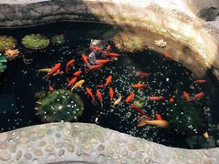 -映像威海·海鲜味道(市区店)