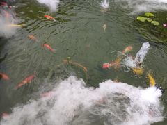 -濮园 · 四合院餐厅