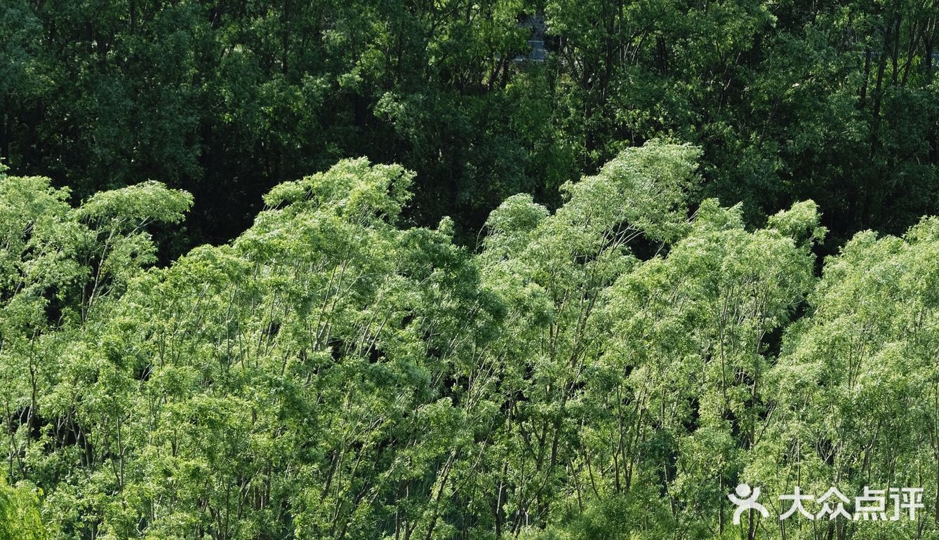 北京周边游｜周末自驾好去处，归隐山水间[加油]