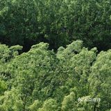 北京周边游｜周末自驾好去处，归隐山水间[加油]