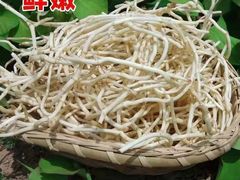 -浙江大学医学院附属第二医院(解放路院区)