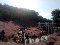 -牛岗山公园