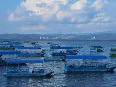 -抚仙湖禄充风景区