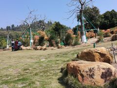 -东莞植物园