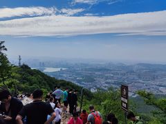 -紫金山山顶公园