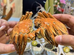 -喜聚薈·花膠雞海鮮火鍋(越秀店)
