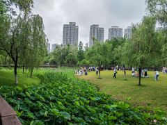 -沐仙湖湿地公园
