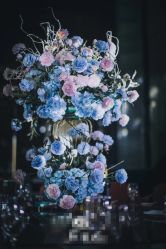 -DC大蔡婚礼策划(李公堤店)