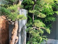 -湘邻呷铺·田园家宴(汉基广场店)