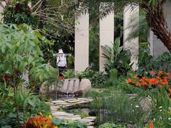 -深圳仙湖植物园