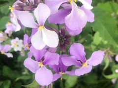 -白塘生态植物园