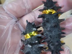 -大连双兴商品城