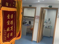 -博特宠物医院24h犬猫全科.骨科·异宠