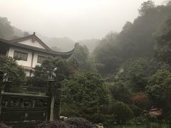 -十八棵（老龙井）御茶园(老龙井店)