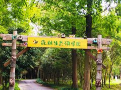 -东平国家森林公园