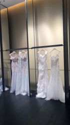 -MuseMarry婚纱(前海嘉里中心店)