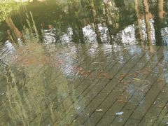 -兰溪青年公园