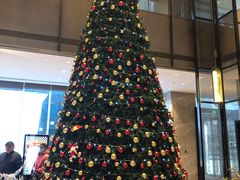 -苏州希尔顿酒店·园大堂吧