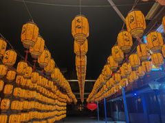 -吴桥杂技大世界