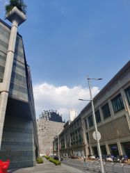 -上海首尔丽格医疗美容医院