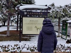 -茂陵博物馆