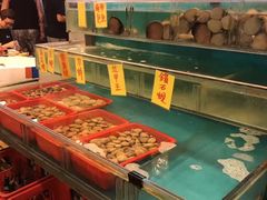 -鲜入围煮花胶鸡海鲜火锅