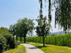 -北京奥林匹克公园