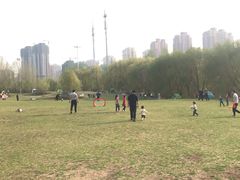 -长白岛森林公园