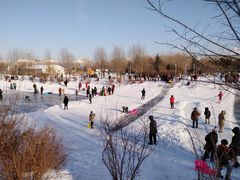 -长春公园(普阳街道)