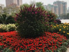 -英雄广场