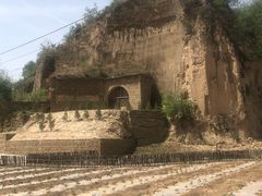 -山沟沟羊小馆&烤全羊羊肉汤(麦岛店)