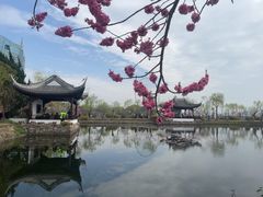 -无锡蠡湖国家湿地公园-蠡园