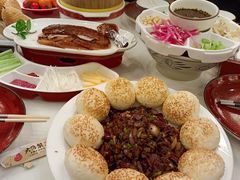 -大鸭梨烤鸭店(花园村店)