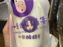 -一只酸奶牛(八一路店)