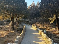 -白水寺森林公园