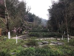 -常德桃花源景区