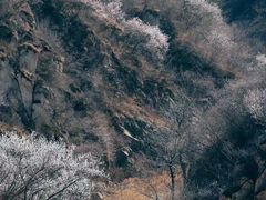 -北京西山国家森林公园