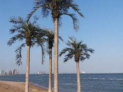 -东戴河风景区