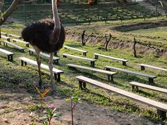 -李小龙乐园(顺德均安店)