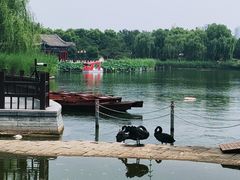 -西海子公园