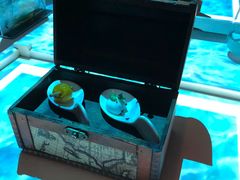 -翡翠36餐厅(浦东香格里拉店)