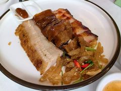 烧鹅烧肉叉烧海蜇拼盘-朱仔记食府(江南大道店)