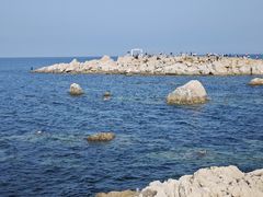 -养马岛旅游度假区