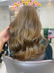 -潘多拉Hairsalon