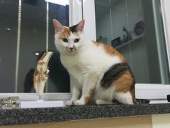 -美联众合动物医院·24h京西诊疗中心