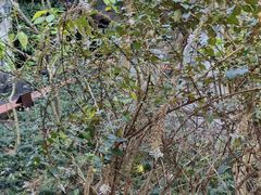 -广州神农草堂中医药博物馆