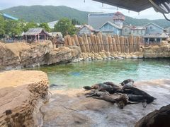 -珠海长隆海洋王国