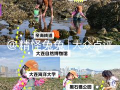 -黑石礁公园