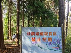 -四明山国家森林公园